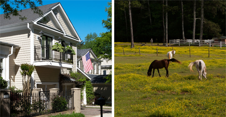 Picture of historic Fayetteville house and horses grazing
